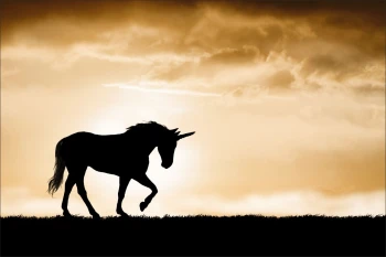  Fototapeta jednorożec 2847