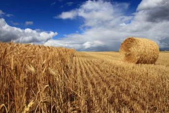  Fototapeta krajobraz 497a