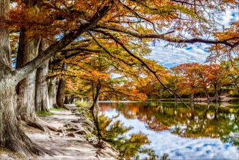  Fototapeta krajobraz, jezioro, park, drzewa 5120