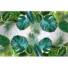 Fototapeta kwiaty, monstera 5333