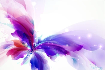  Fototapeta motyl 4104