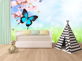  Fototapeta motyl 4361