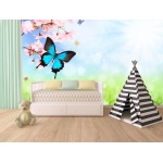 Fototapeta motyl 4361