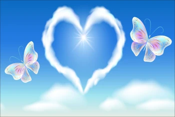  Fototapeta motyle 3571