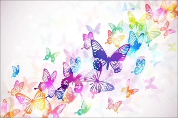  Fototapeta motyle 3576