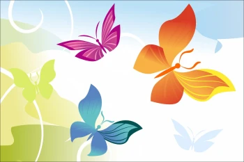  Fototapeta motyle 4103