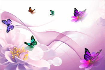  Fototapeta motylki 4110