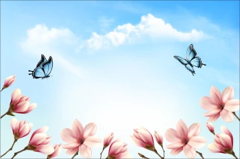  Fototapeta motylki 4111