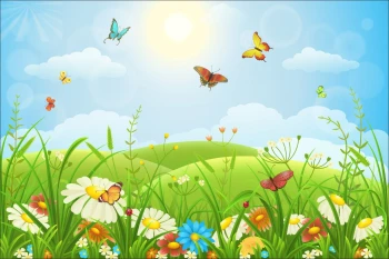  Fototapeta motylki 4112