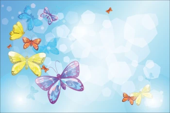  Fototapeta motylki 4113