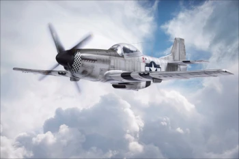  Fototapeta myśliwiec 4791