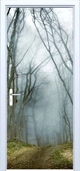  Fototapeta na drzwi drzewa 878