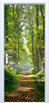  Fototapeta na drzwi drzewa 879