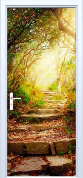  Fototapeta na drzwi drzewa 880