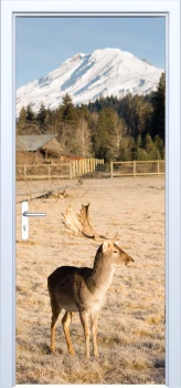  Fototapeta na drzwi góry 904