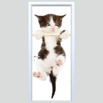  Fototapety na drzwi kot 218s