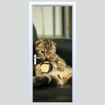  Fototapety na drzwi kot 229s