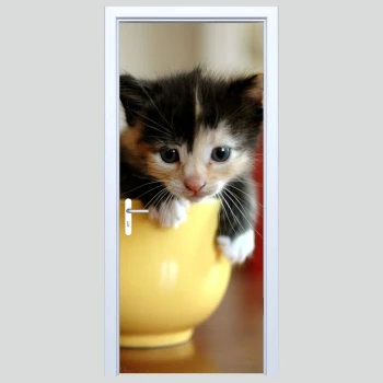  Fototapeta na drzwi kotek 178p