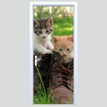  Fototapeta na drzwi kotki 182p