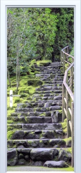  Fototapeta na drzwi las 826