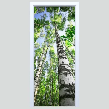  Fototapeta na drzwi las 097p