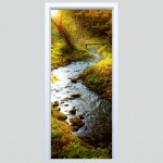 Fototapeta na drzwi las 099p