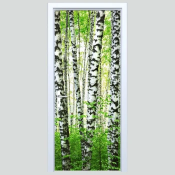  Fototapeta na drzwi las 100p