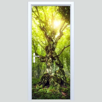  Fototapeta na drzwi las 107p