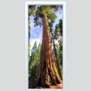  Naklejka na drzwi las 247s