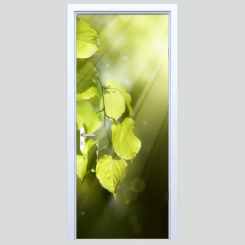  Naklejka na drzwi las 249s