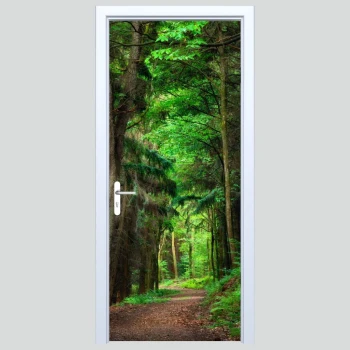  Fototapeta na drzwi las 549a