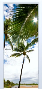  Fototapeta na drzwi palmy 891