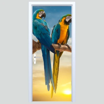 Fototapety na drzwi papugi 232s