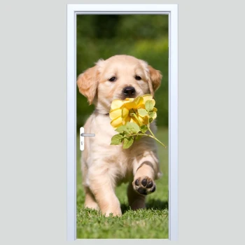  Fototapeta na drzwi pies 177p