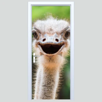  Naklejka na drzwi struś 240s
