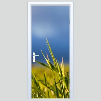  Fototapeta na drzwi trawa 083p