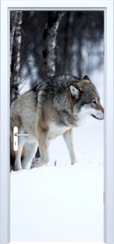  Fototapeta na drzwi wilk 903