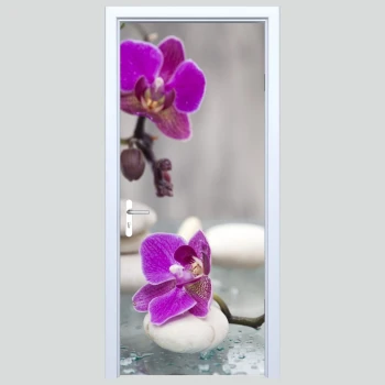  Fototapeta na drzwi zen 137p