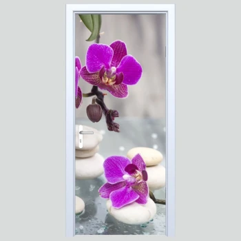  Fototapety na drzwi zen 204s