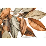  Fototapeta natura, liście w kolorach jesieni 5492