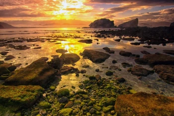  Fototapeta plaża 799