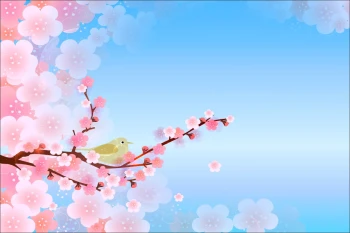  Fototapeta ptaszek 3649