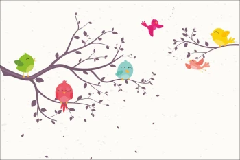  Fototapeta ptaszki 4126