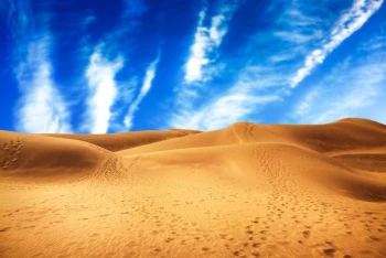  Fototapeta pustynia 493a