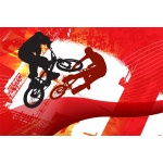 Fototapeta rower BMX 2463