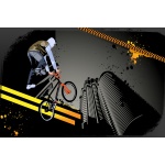 Fototapeta rower BMX 2469