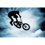 Fototapeta rower BMX 2488