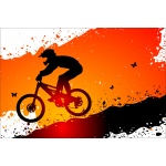 Fototapeta rower downhill 2484