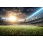 Fototapeta stadion 1613