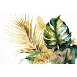  Fototapeta tropikalne liście palm monstery 5478